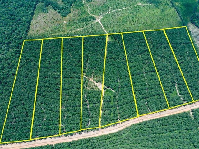 8 Benny Griffin Road, Dallardsville, TX 77351