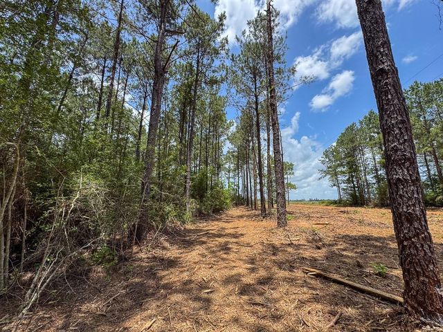 8 Benny Griffin Road, Dallardsville, TX 77351