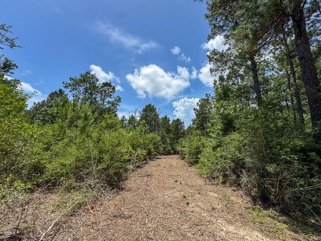 8 Benny Griffin Road, Dallardsville, TX 77351