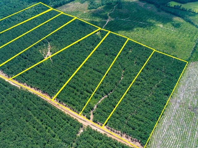 8 Benny Griffin Road, Dallardsville, TX 77351