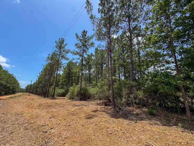 8 Benny Griffin Road, Dallardsville, TX 77351