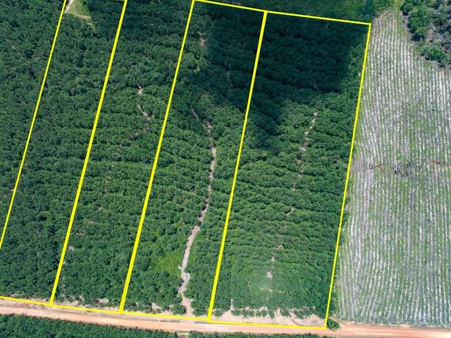 8 Benny Griffin Road, Dallardsville, TX 77351