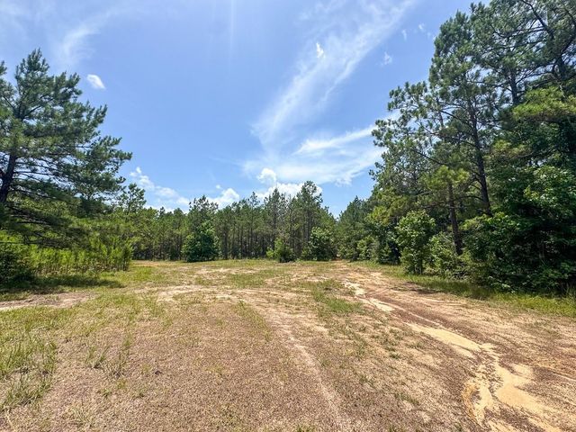 8 Benny Griffin Road, Dallardsville, TX 77351