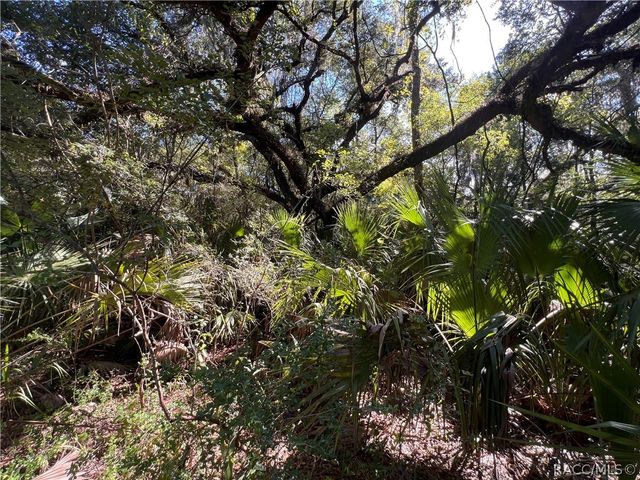 7923 N Bitteroot Drive, Crystal River, FL 34428