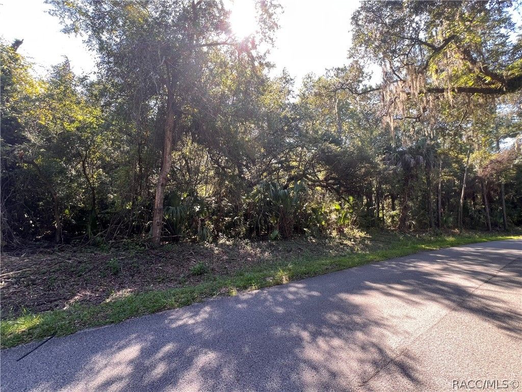 7923 N Bitteroot Drive, Crystal River, FL 34428