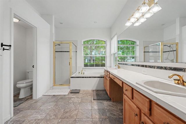 12507 ROYAL DUBLIN AVENUE, Odessa, FL 33556