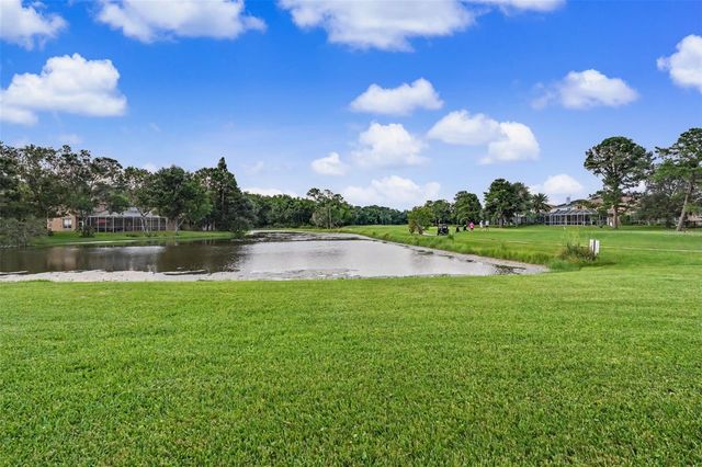 12507 ROYAL DUBLIN AVENUE, Odessa, FL 33556