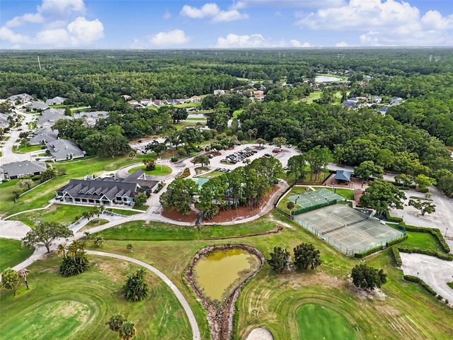 12507 ROYAL DUBLIN AVENUE, Odessa, FL 33556