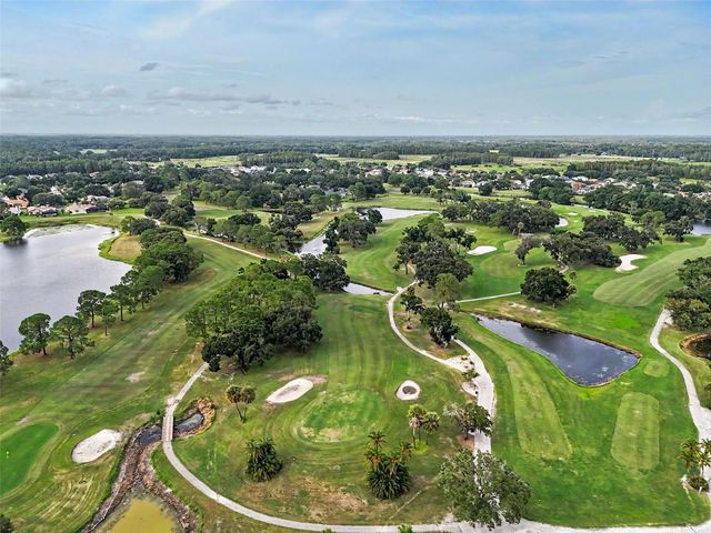 12507 ROYAL DUBLIN AVENUE, Odessa, FL 33556
