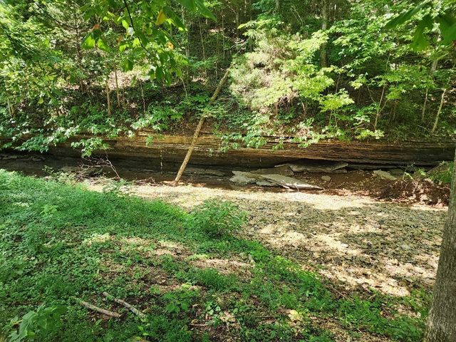 0 Taurus Farm Rd, Lafayette, TN 37083