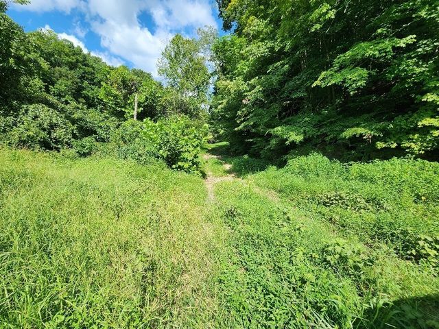 0 Taurus Farm Rd, Lafayette, TN 37083