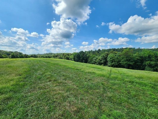 0 Taurus Farm Rd, Lafayette, TN 37083