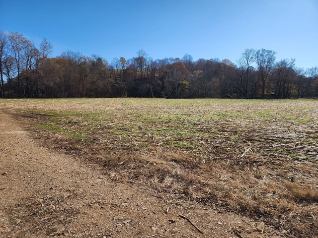 0 Taurus Farm Rd, Lafayette, TN 37083