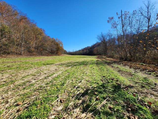 0 Taurus Farm Rd, Lafayette, TN 37083