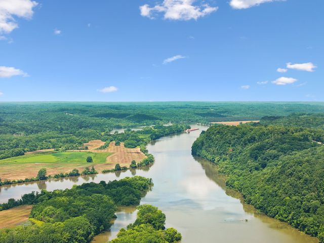 432 Slow Roll Dr, Chapmansboro, TN 37035