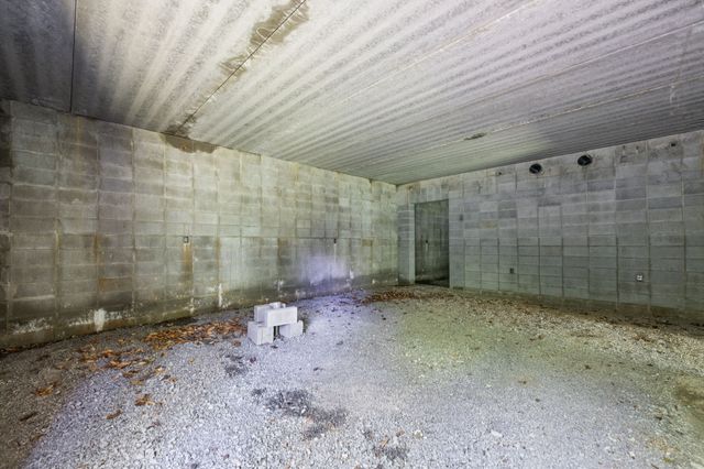 432 Slow Roll Dr, Chapmansboro, TN 37035