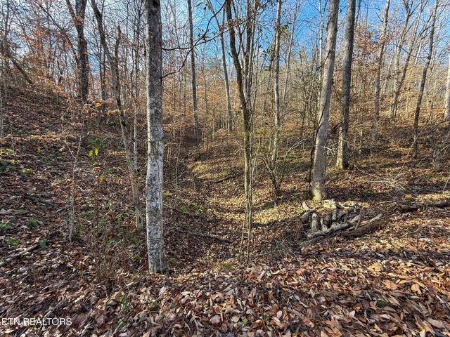 636 Butler Mill Rd, Maryville, TN 37803