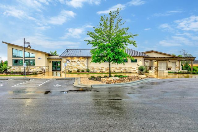 241 Arabian Colt DR, Georgetown, TX 78626