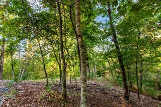 Lt 2076r Parody Circle, Ellijay, GA 30540