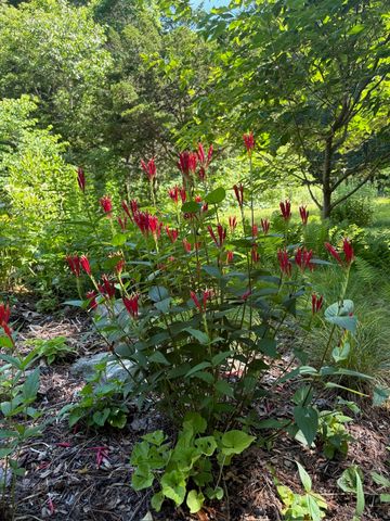 238 Goodmans Hill Rd, Sudbury, MA 01776