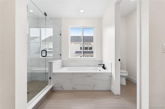 11245 Moonshimmer Street, Littleton, CO 80125