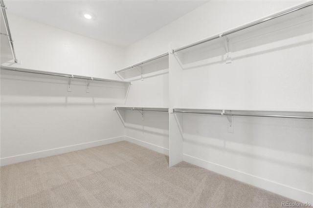 11245 Moonshimmer Street, Littleton, CO 80125