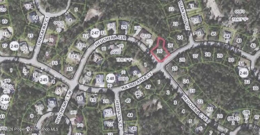 25 Matricaria Court, Homosassa, FL 34446