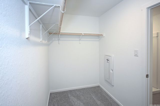 15023 Azzurro Stone, Elmendorf, TX 78112