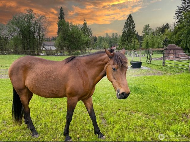 1522 347th Street Ct E, Roy, WA 98580