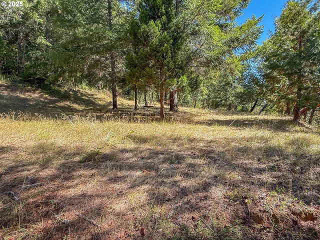 27001 STATE HIGHWAY 42, Camas Valley, OR 97416