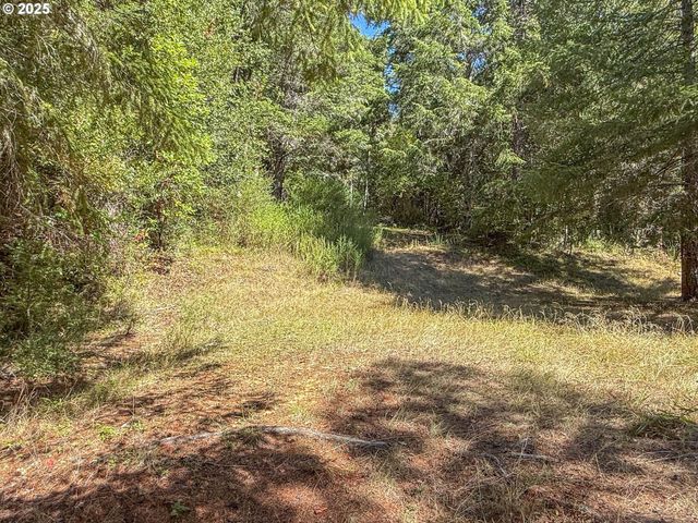 27001 STATE HIGHWAY 42, Camas Valley, OR 97416