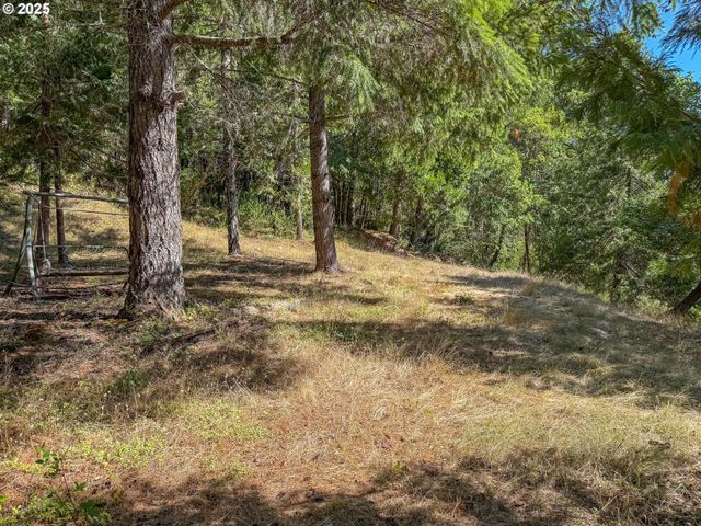 27001 STATE HIGHWAY 42, Camas Valley, OR 97416