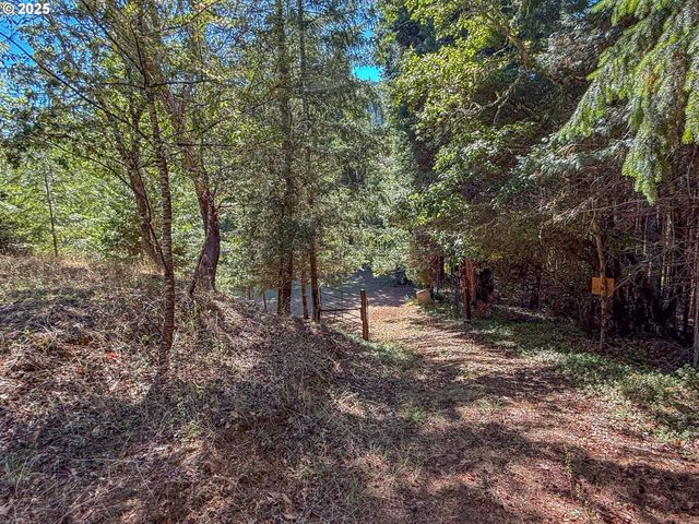 27001 STATE HIGHWAY 42, Camas Valley, OR 97416