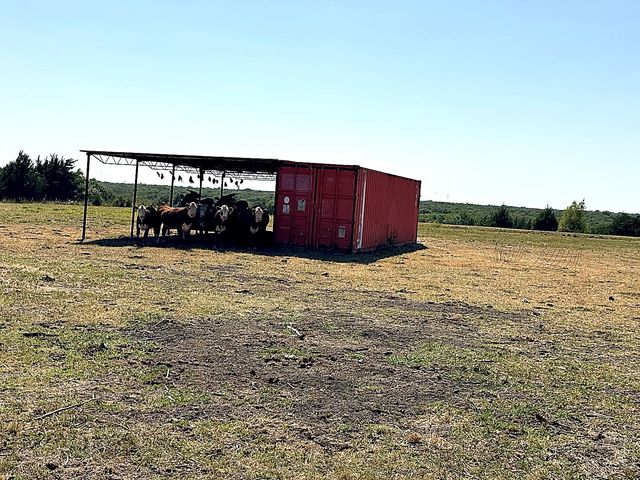 1599 County Road 2925, Dodd City, TX 75438
