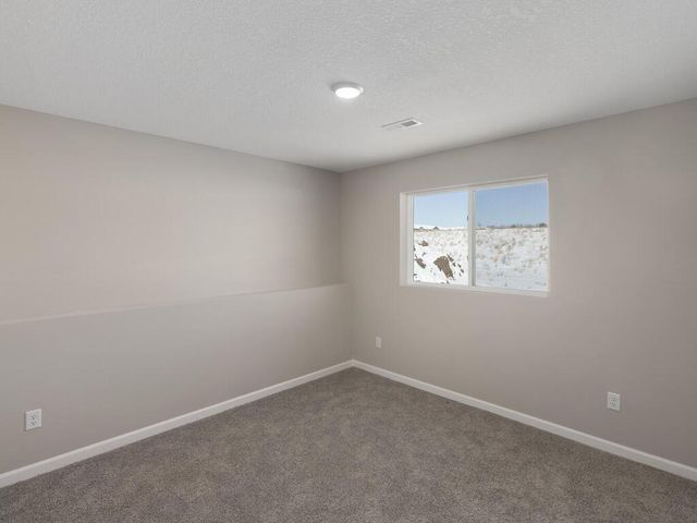 907 Misty Meadow Boulevard, Buffalo, MN 55313