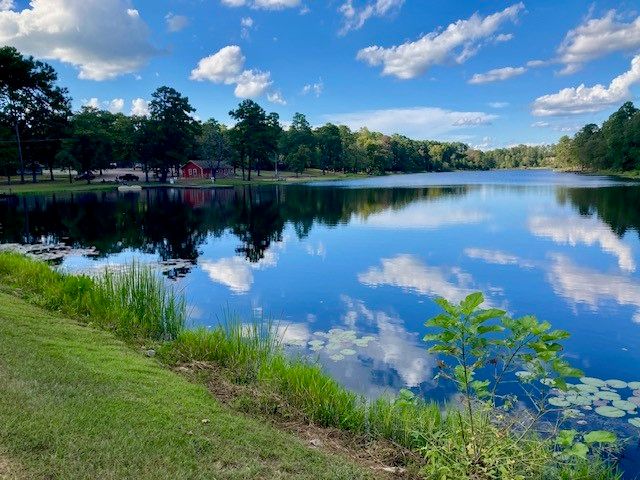362 Meadow View Path, Holly Lake Ranch, TX 75765