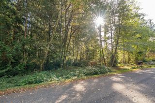 10611 Vantage Drive, Anderson Island, WA 98303