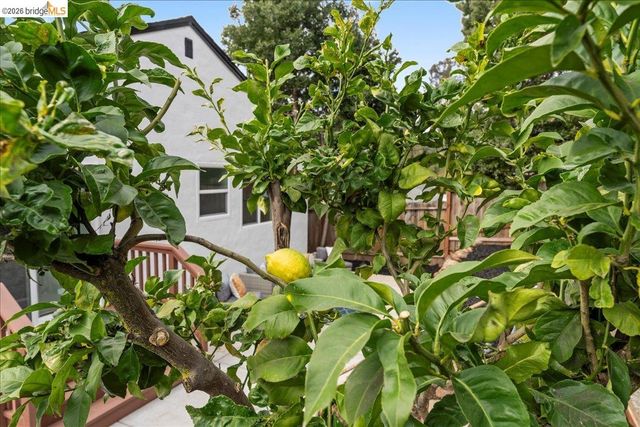 6032 Mauritania Ave, Oakland, CA 94605