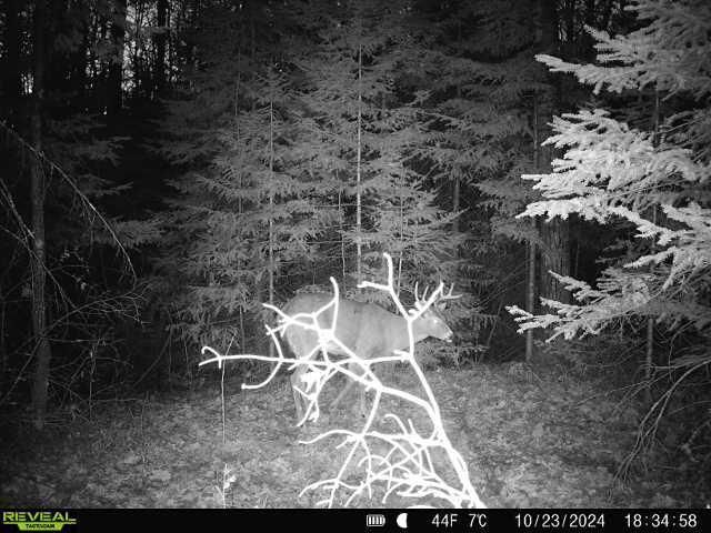 6692 County Rd C, South Range, WI 54874