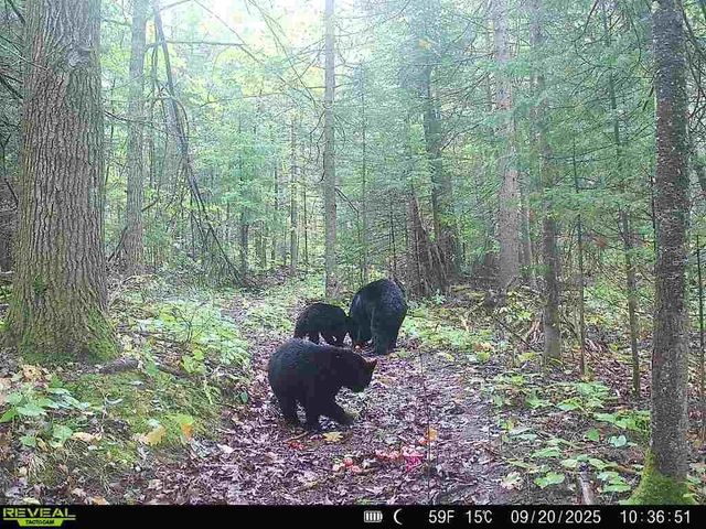 6692 County Rd C, South Range, WI 54874