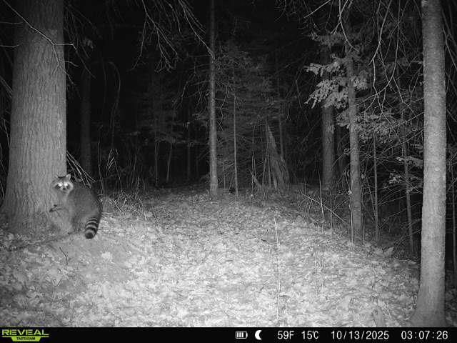 6692 County Rd C, South Range, WI 54874