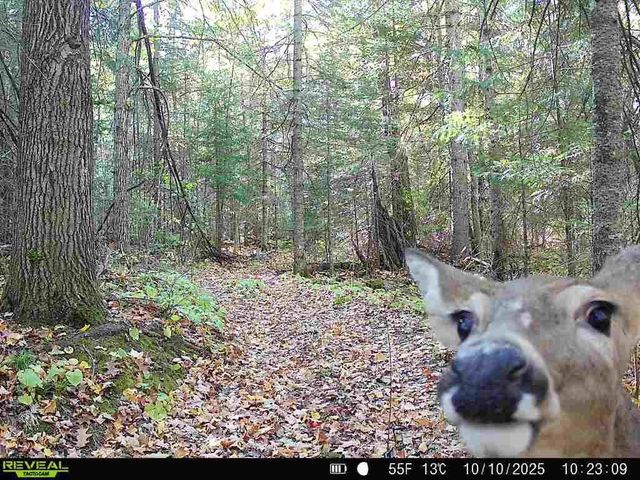 6692 County Rd C, South Range, WI 54874