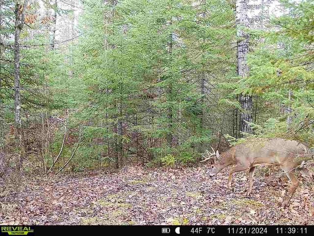 6692 County Rd C, South Range, WI 54874