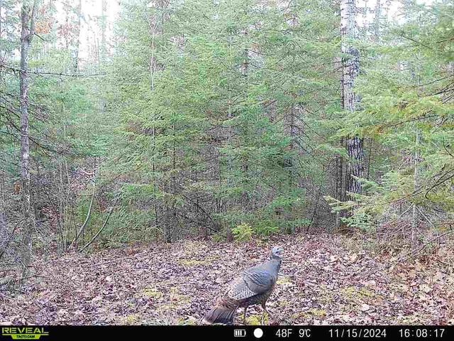 6692 County Rd C, South Range, WI 54874