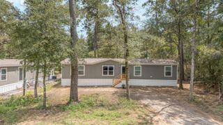 7996 Tawnyberry Lane, Plantersville, TX 77363