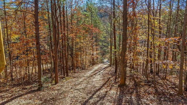 367 Cagle Road, Tellico Plains, TN 37385