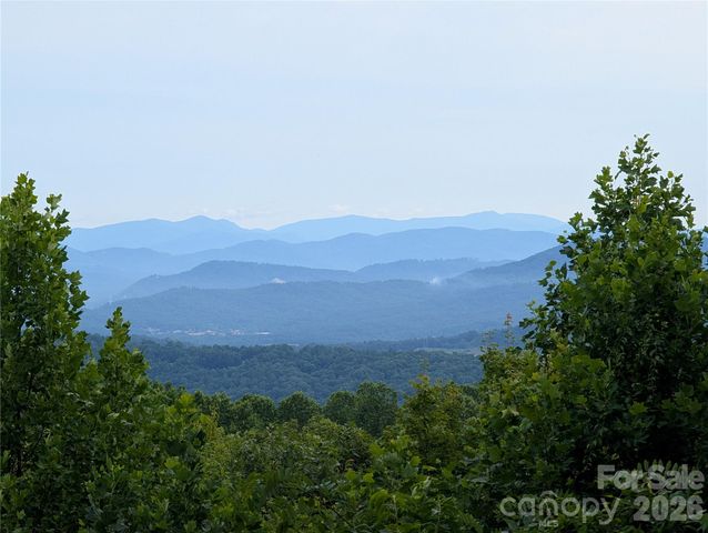 122 Birchwood Drive, Hendersonville, NC 28739
