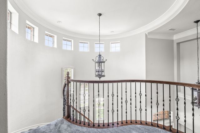 1321 Cotulla Drive, Allen, TX 75013