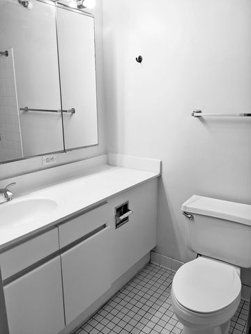 440 N Wabash Avenue 2003, Chicago, IL 60611