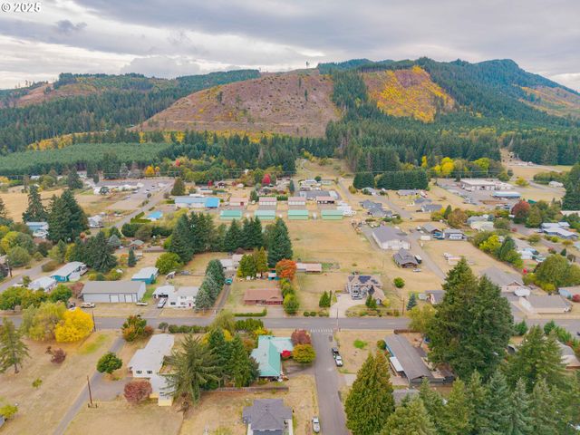 12 SHORT RUN Rd, Carson, WA 98610